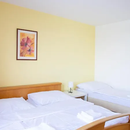 Amenity Guest house *