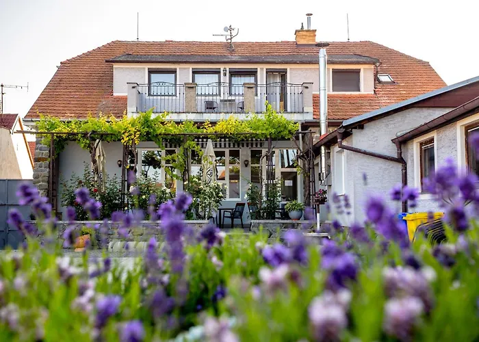 Amenity Guest house Perna